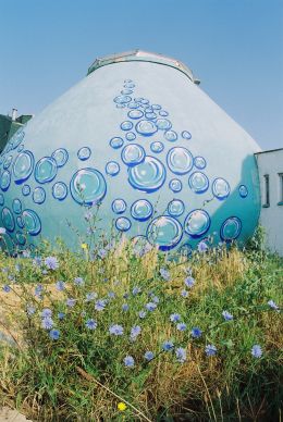Read more about the article Proširene vene