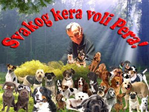 Read more about the article Lekovito bilje za ljubimce